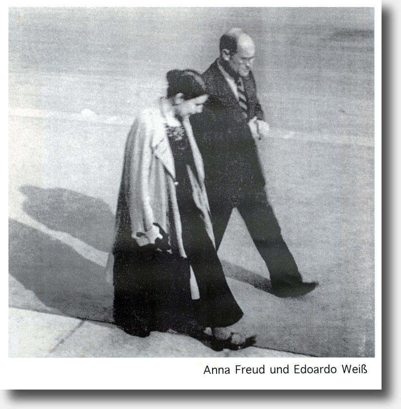 T07_03_[PA310190]sh1