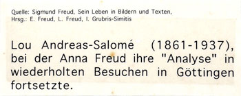 T04_04T_[PA310020][350]